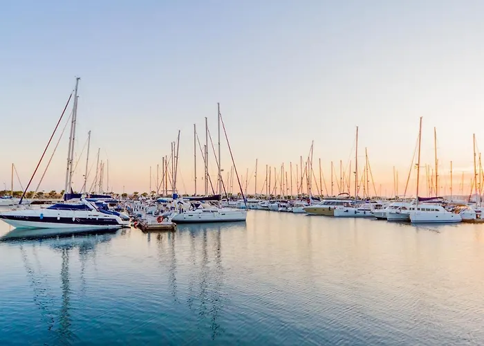 Joven Pura Id134 Torrevieja